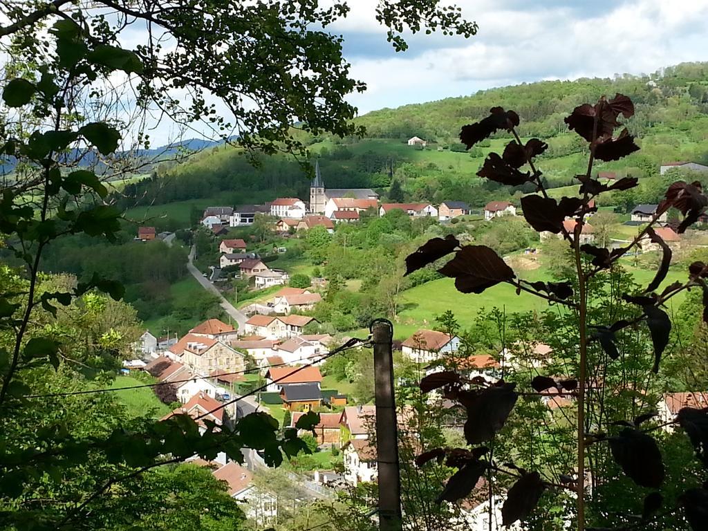 Giteovosges La Croix-aux-Mines 외부 사진