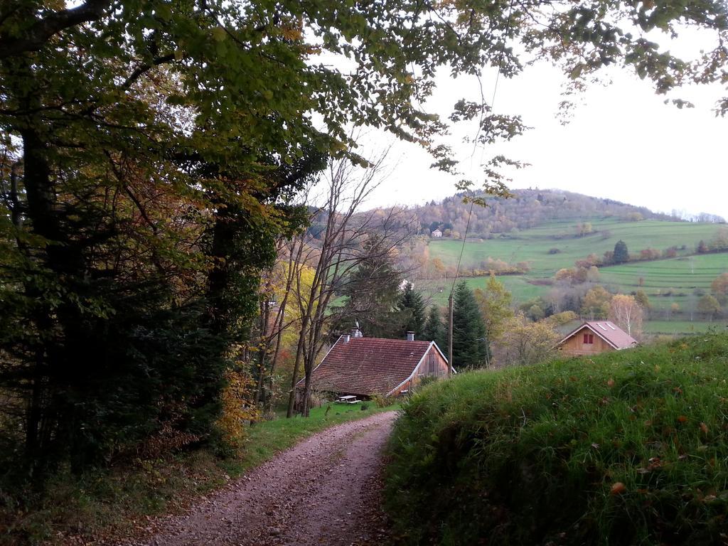 Giteovosges La Croix-aux-Mines 외부 사진